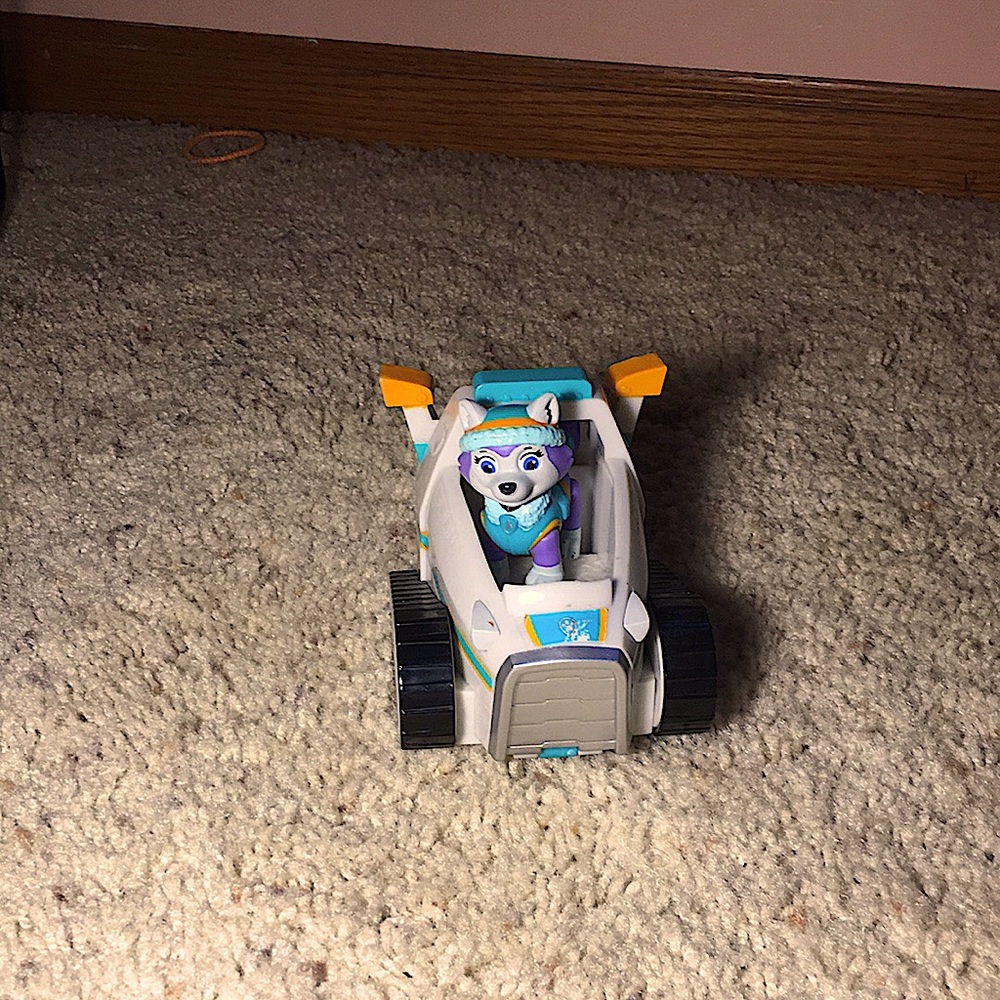 Paw patrol Everest and vehicle